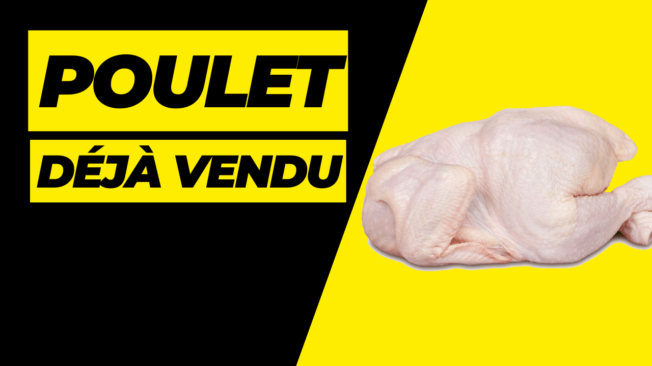 commercialisation des poulets de chair en Afrique